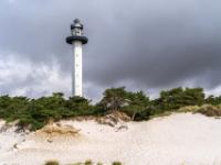 Dünenende und Kiefernwald beim Leuchtturm Dueodde Fyr - Dueodde Dünen